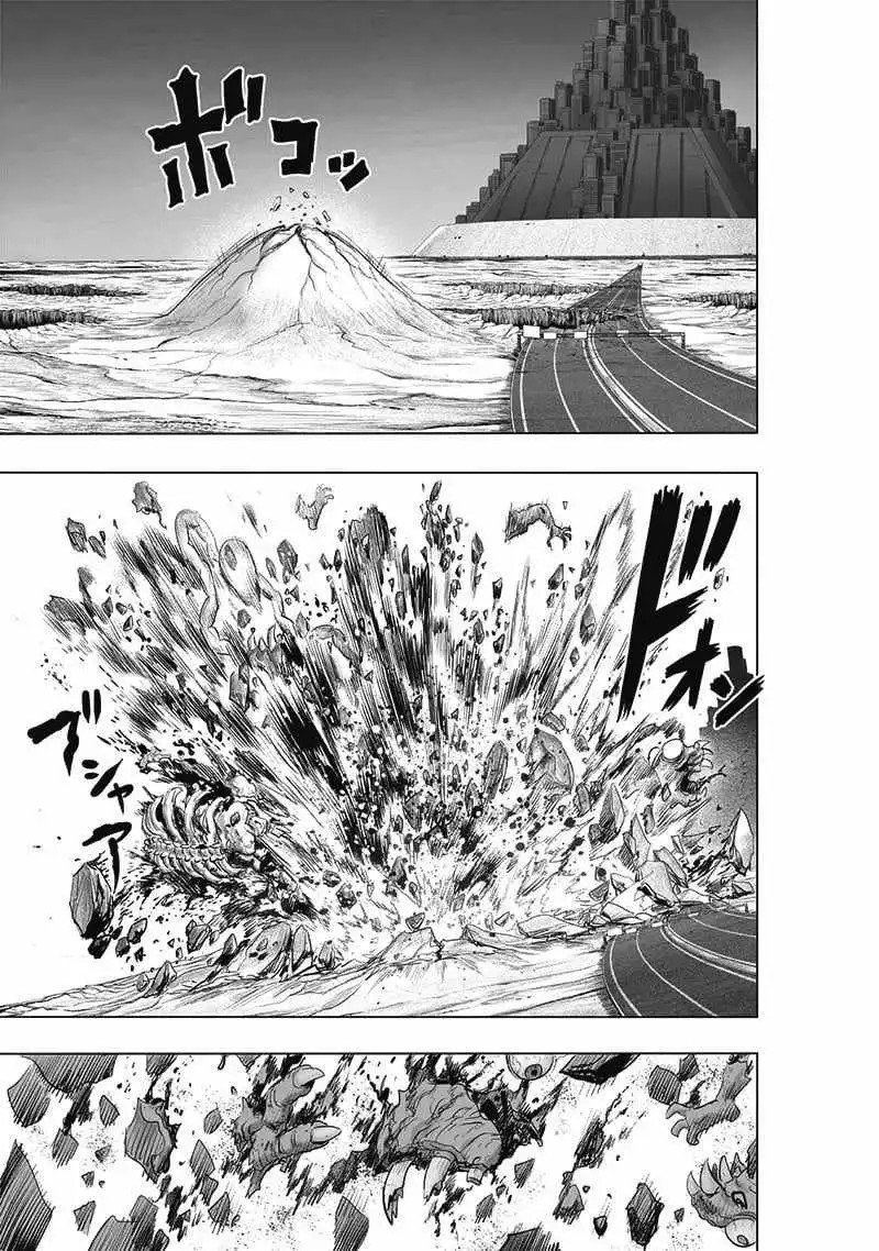 One-Punch Man Chapter 183 15